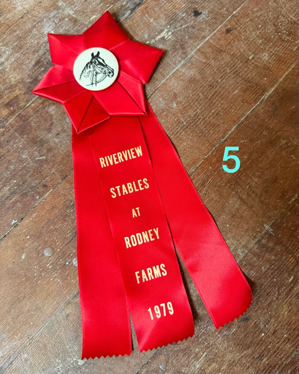 70s/80s Prize Ribbon Pins