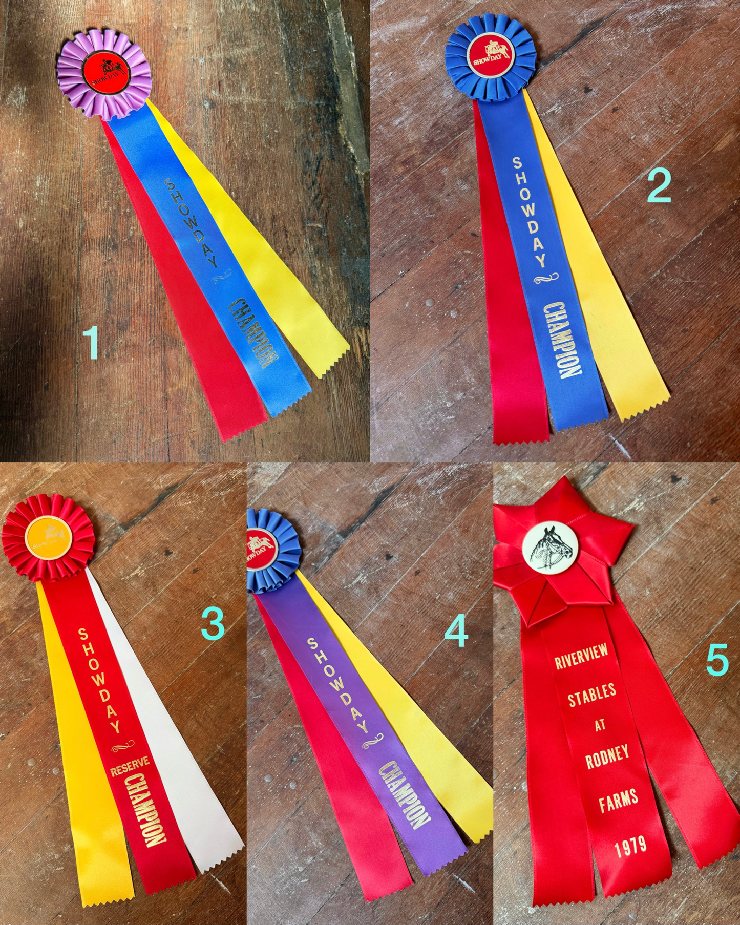 70s/80s Prize Ribbon Pins